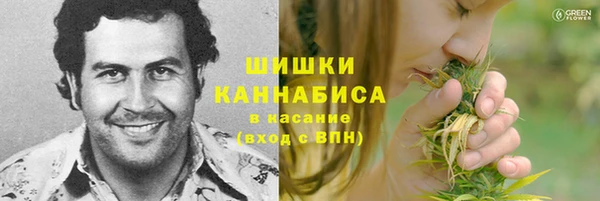Альфа ПВП Магадан