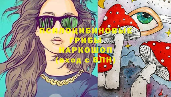 Альфа ПВП Магадан