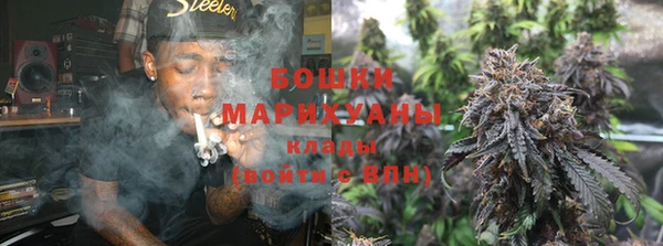 Альфа ПВП Магадан